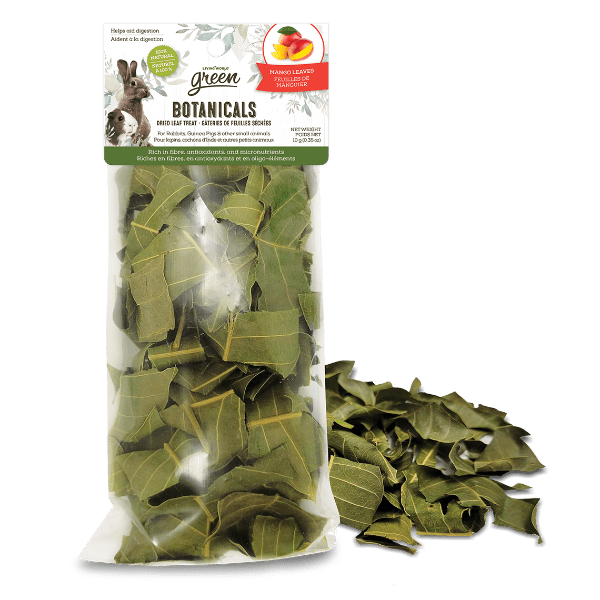 Living World Green Botanicals Dried Mango Leaves - Natural Small Animal Treats for Rabbits, Guinea Pigs & Hamsters - Perfect for Foraging & Enrichment Activities