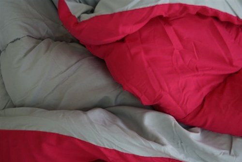 Clara Clark 3-Piece King Size Reversible Goose Down Alternative Comforter Set - Gray & Red | Hypoallergenic Bedding for All Seasons | Perfect for Master Bedrooms, Guest Rooms & Cozy Retreats