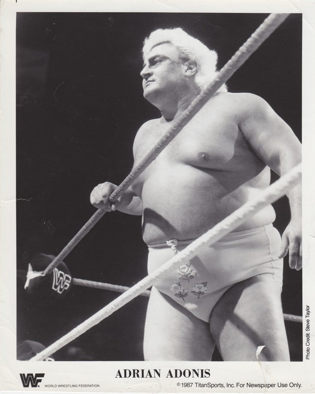 1987 Adrian Adonis Wrestling Action Figure - Vintage Collectible Toy for WWE Fans - Perfect for Display, Gifts, and Nostalgic Wrestling Memorabilia Collections