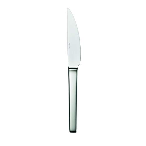 Oneida Glissade 12-Piece Steak Knife Set - Premium Stainless Steel Blades - Perfect for Steak Dinners, BBQ Parties & Fine Dining