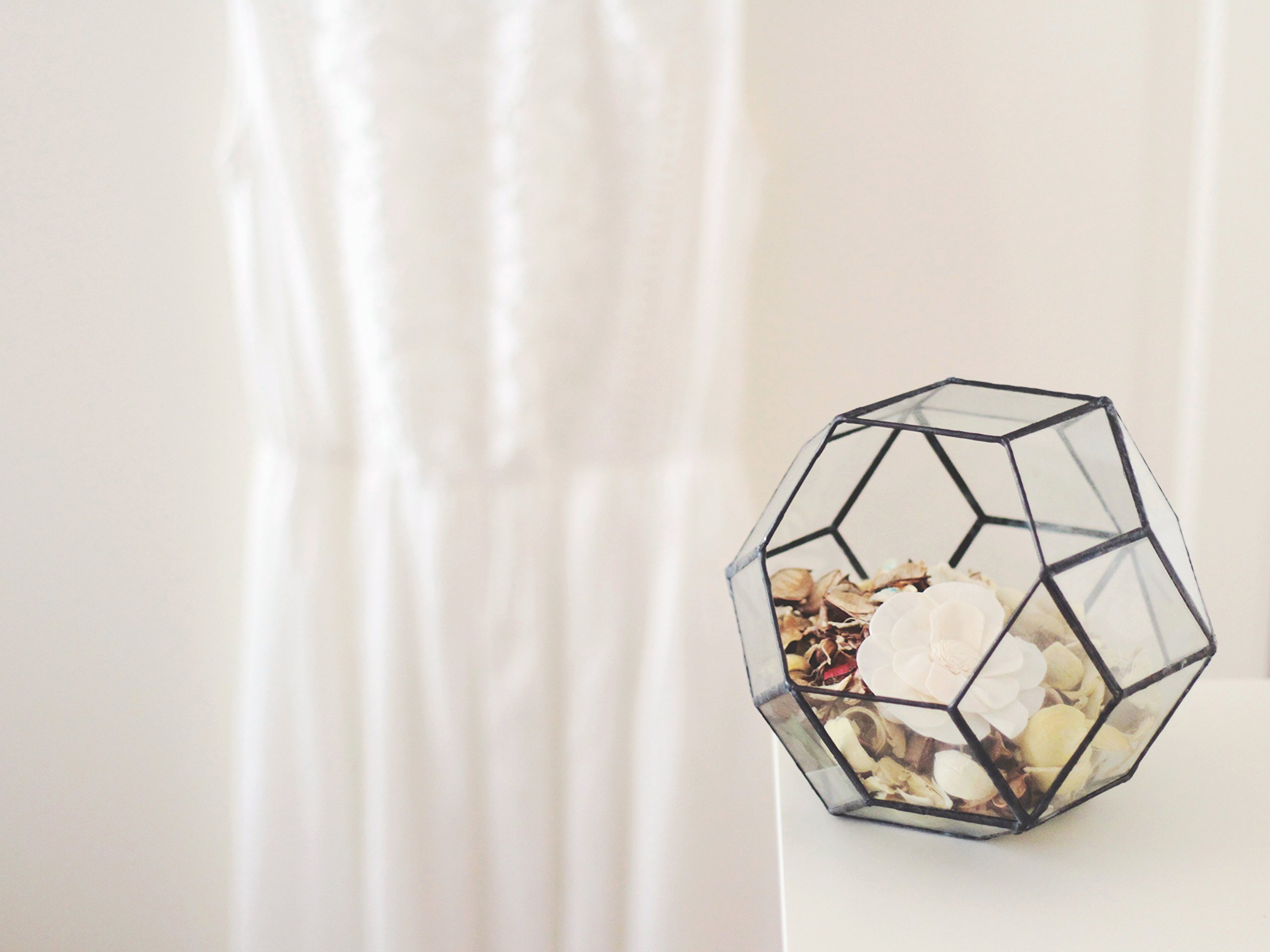 Geometric Glass Terrarium Container - Medium Size for Succulents & Air Plants (Copper, Silver, Black) | Home Decor, Office Desk Display, Wedding Centerpiece