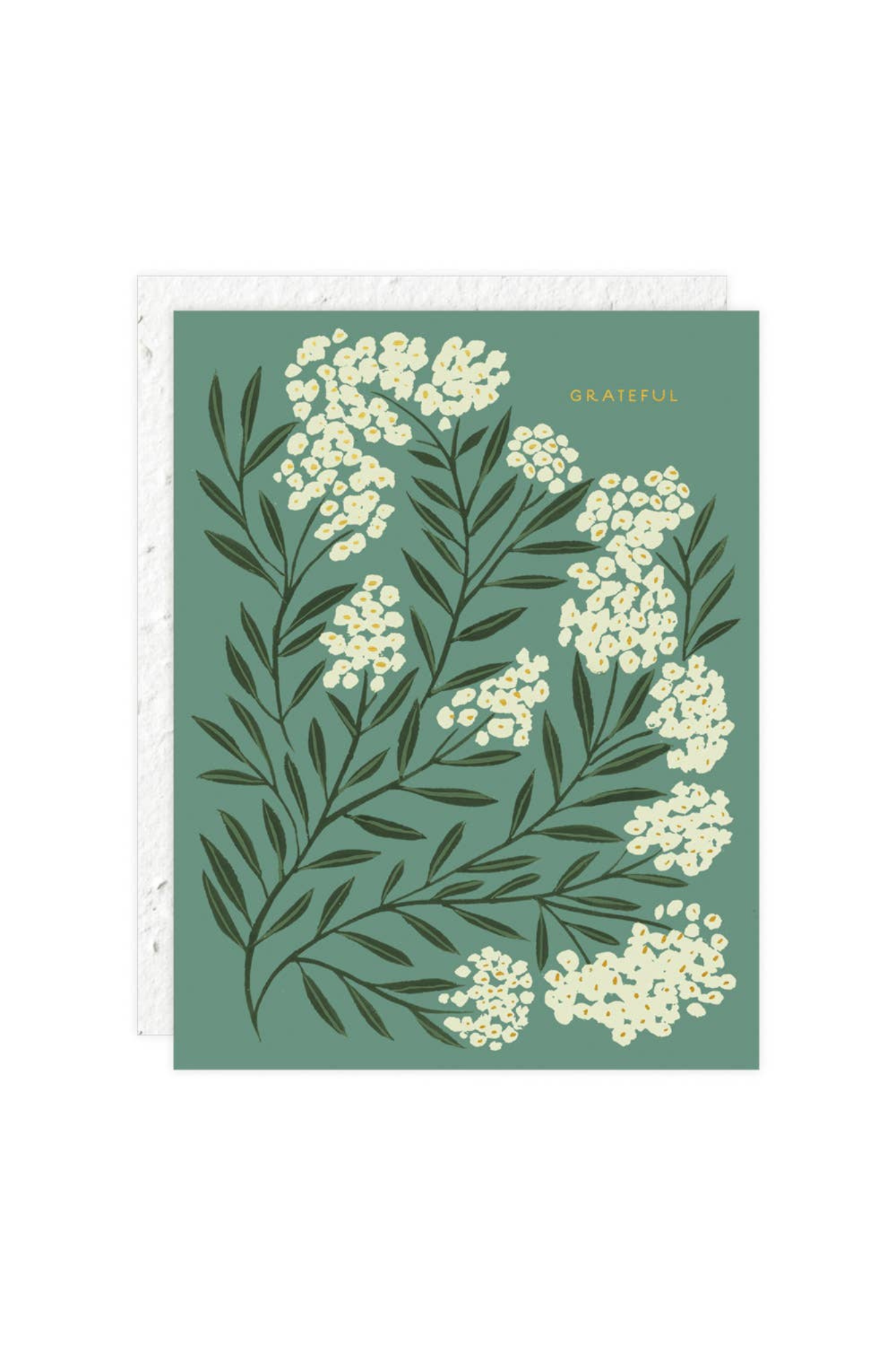 Grateful Thank You Card - Elegant Blank Greeting Cards for Appreciation, Gratitude & Special Occasions - Perfect for Weddings, Birthdays, Teachers & Friends