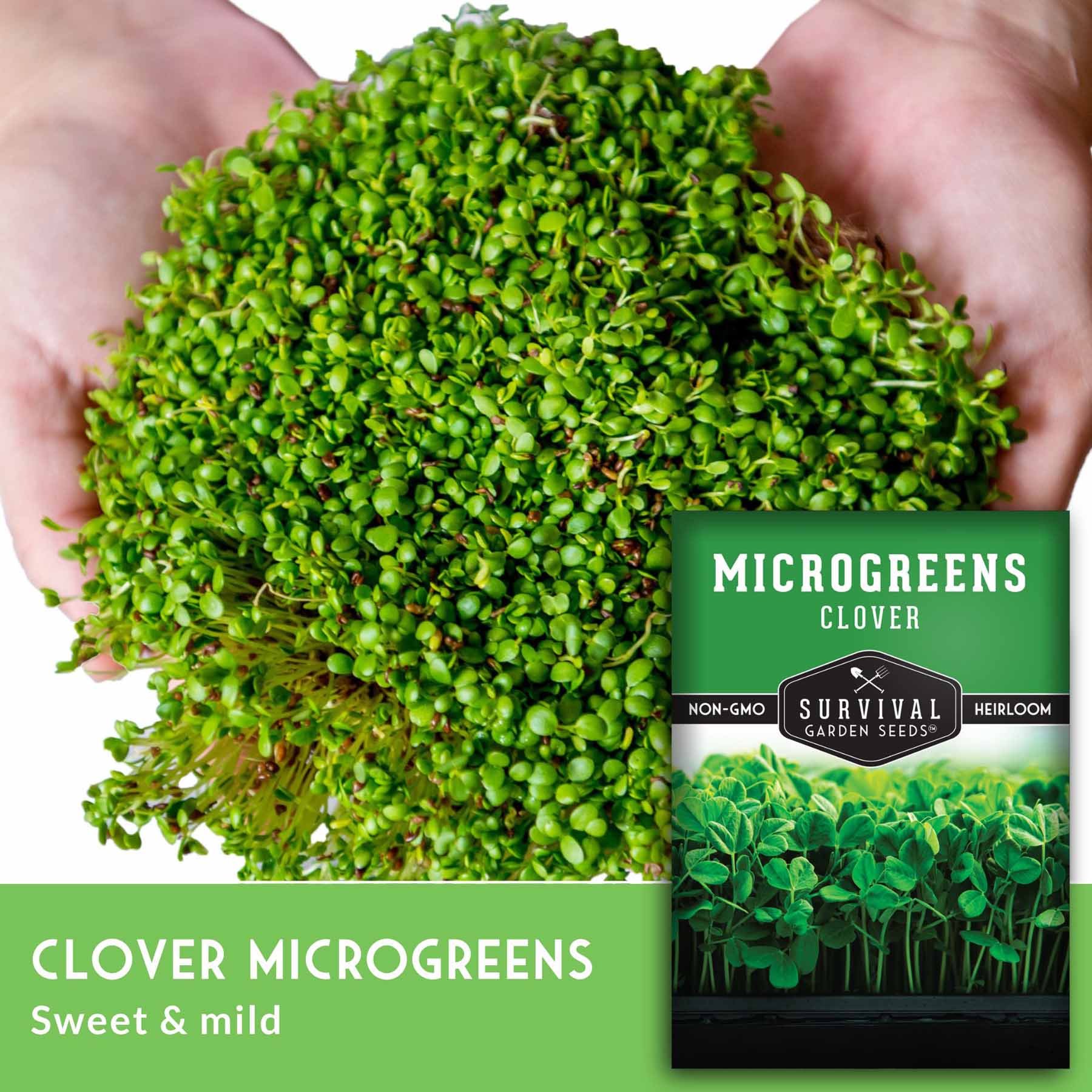 Organic Clover Microgreen Seeds for Home Growing - Non-GMO, High Germination Rate - Perfect for Salads, Smoothies & Healthy Eating