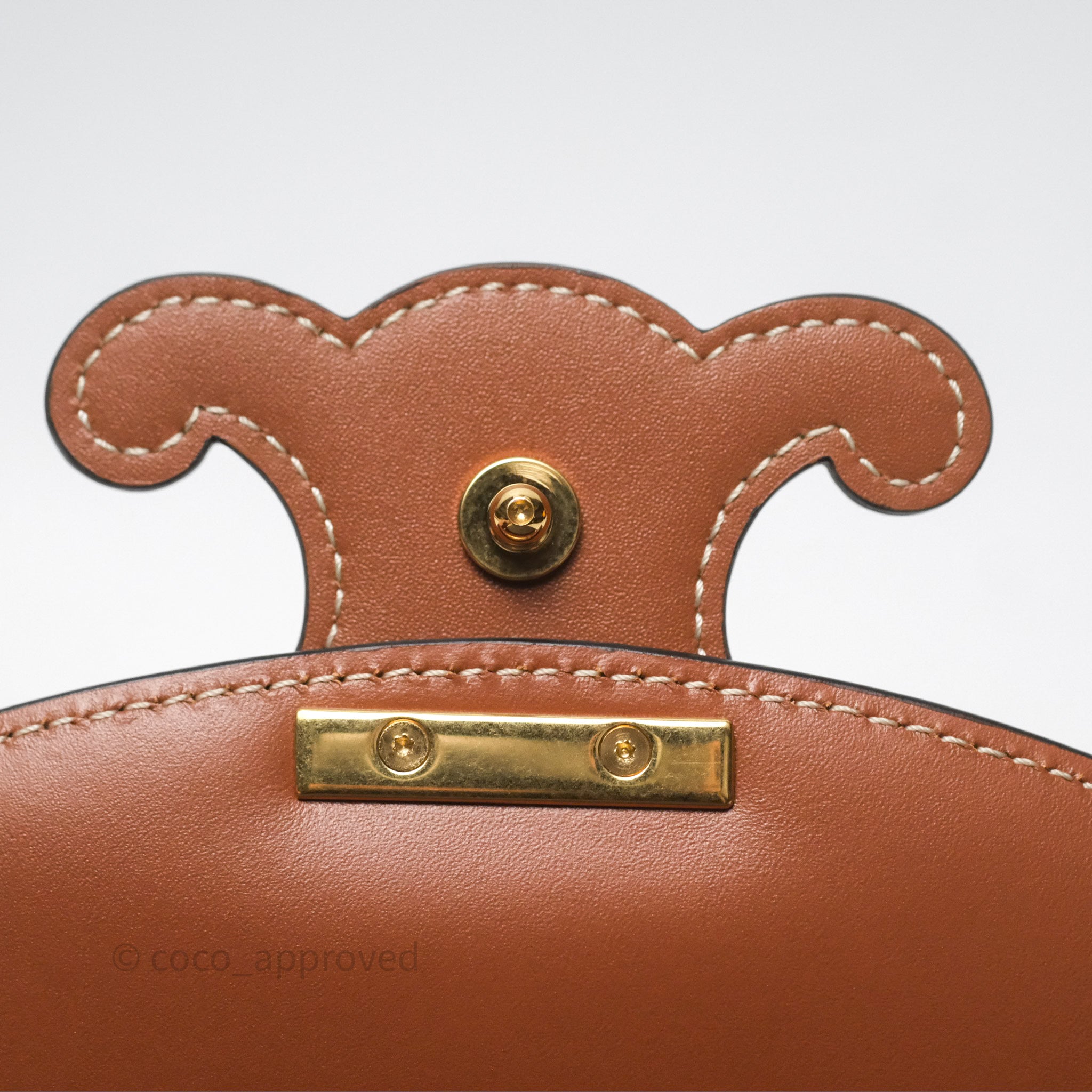 Celine Triomphe Canvas Leather Crossbody Bag in Tan - Stylish and Elegant for Work, Travel & Everyday Use