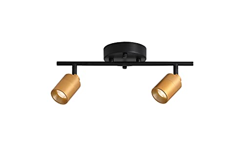 Black & Brass - 2 Head Track