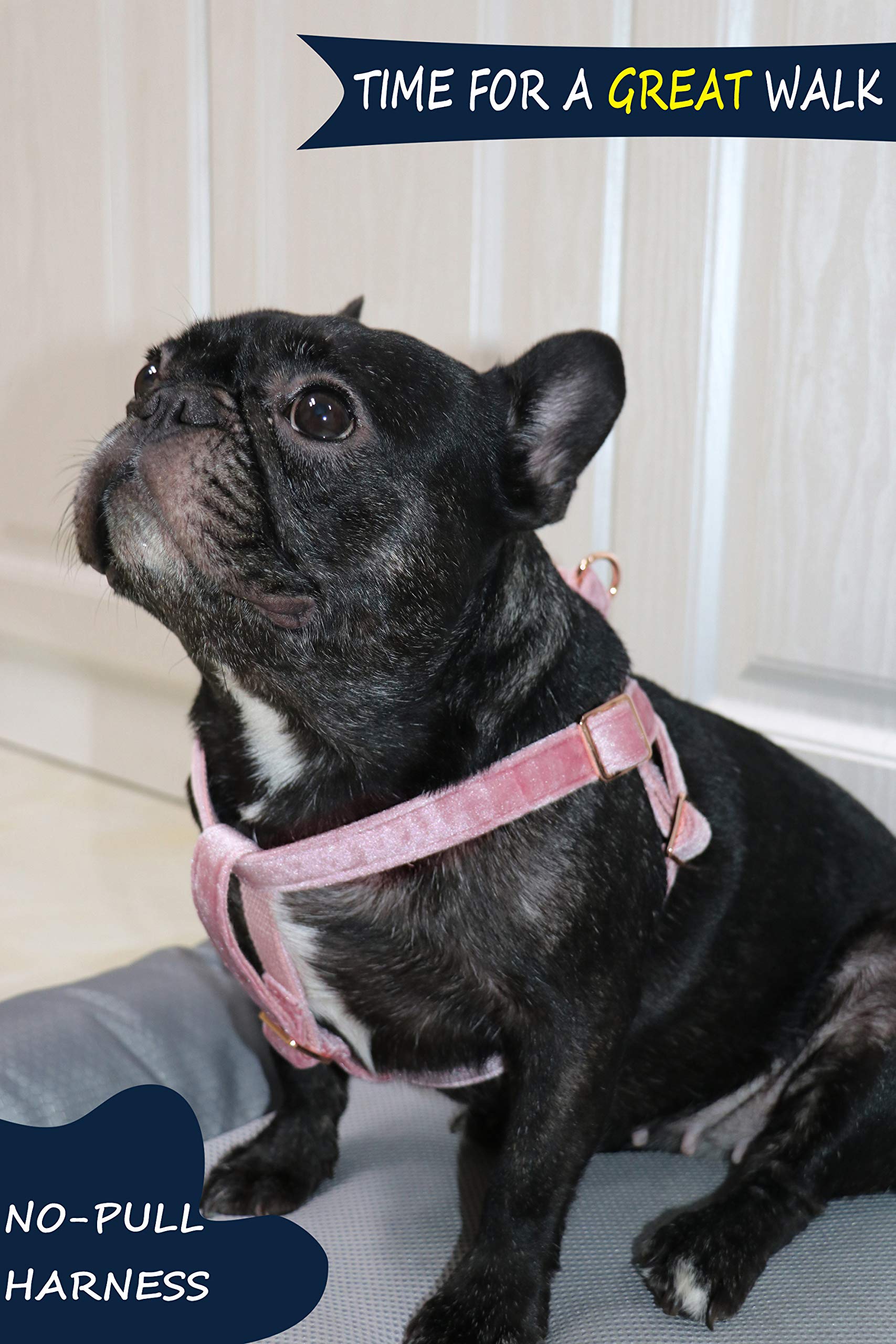 ARING PET Velvet No Pull Dog Harness - Adjustable Heavy Duty Vest for Small to Large Dogs - Perfect for Walking, Training & Outdoor Adventures
