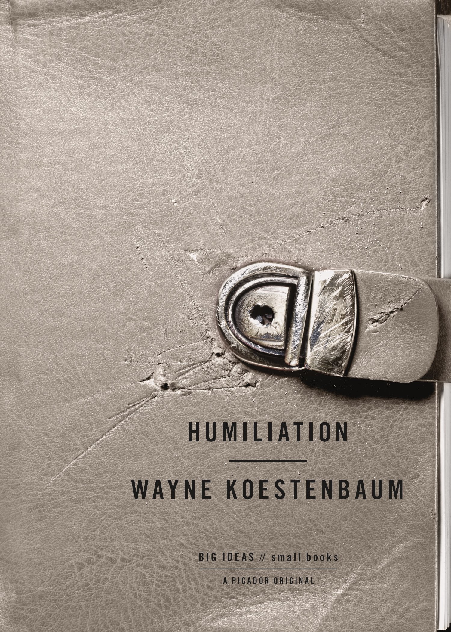 Humiliation (BIG IDEAS//small books) - Exploring Psychological and Social Dynamics - Perfect for Book Clubs, Psychology Studies, and Personal Growth