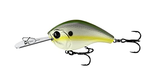 Olive Shad
