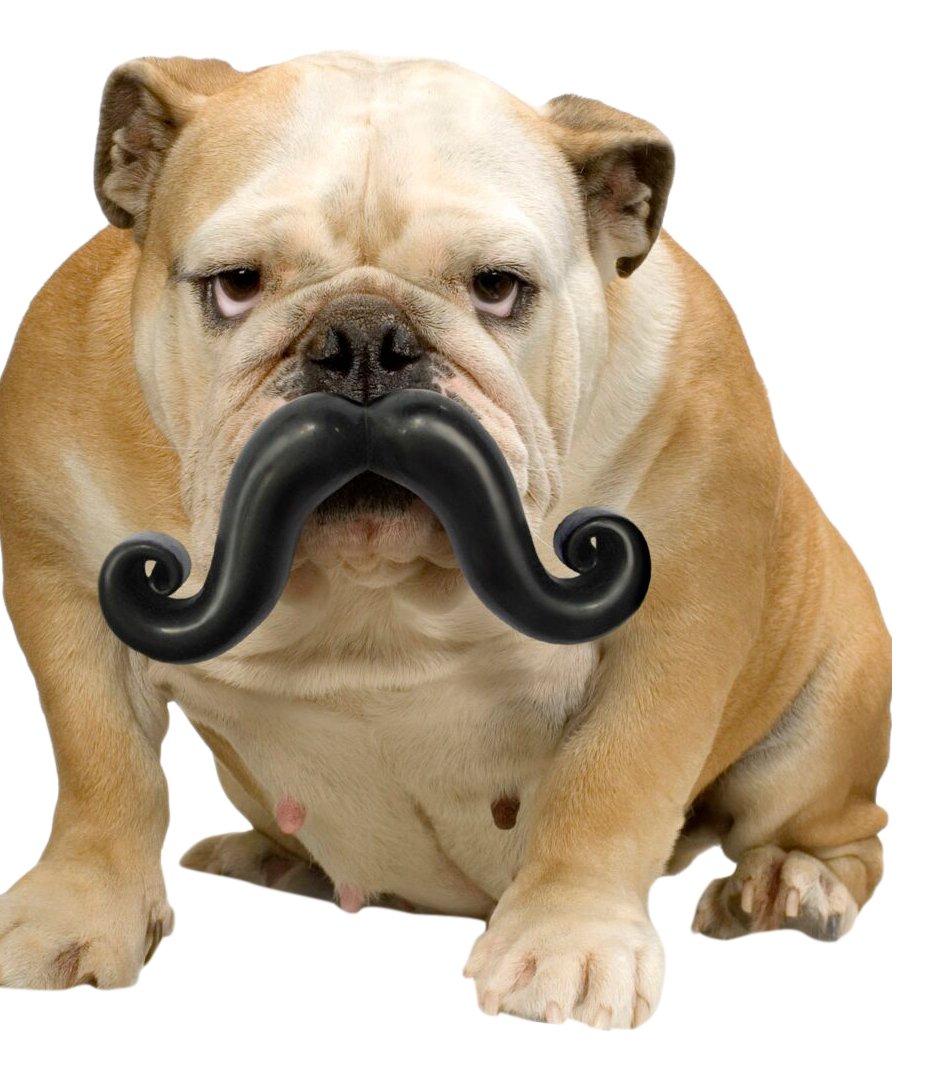 Humunga Stache Junior Dog Toy for Medium-Large Dogs - Durable Chew Toy for Aggressive Chewers - Perfect for Playtime, Training & Indoor/Outdoor Fun