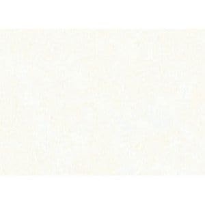 Premium White Tissue Paper 500 x 700 mm (19.7