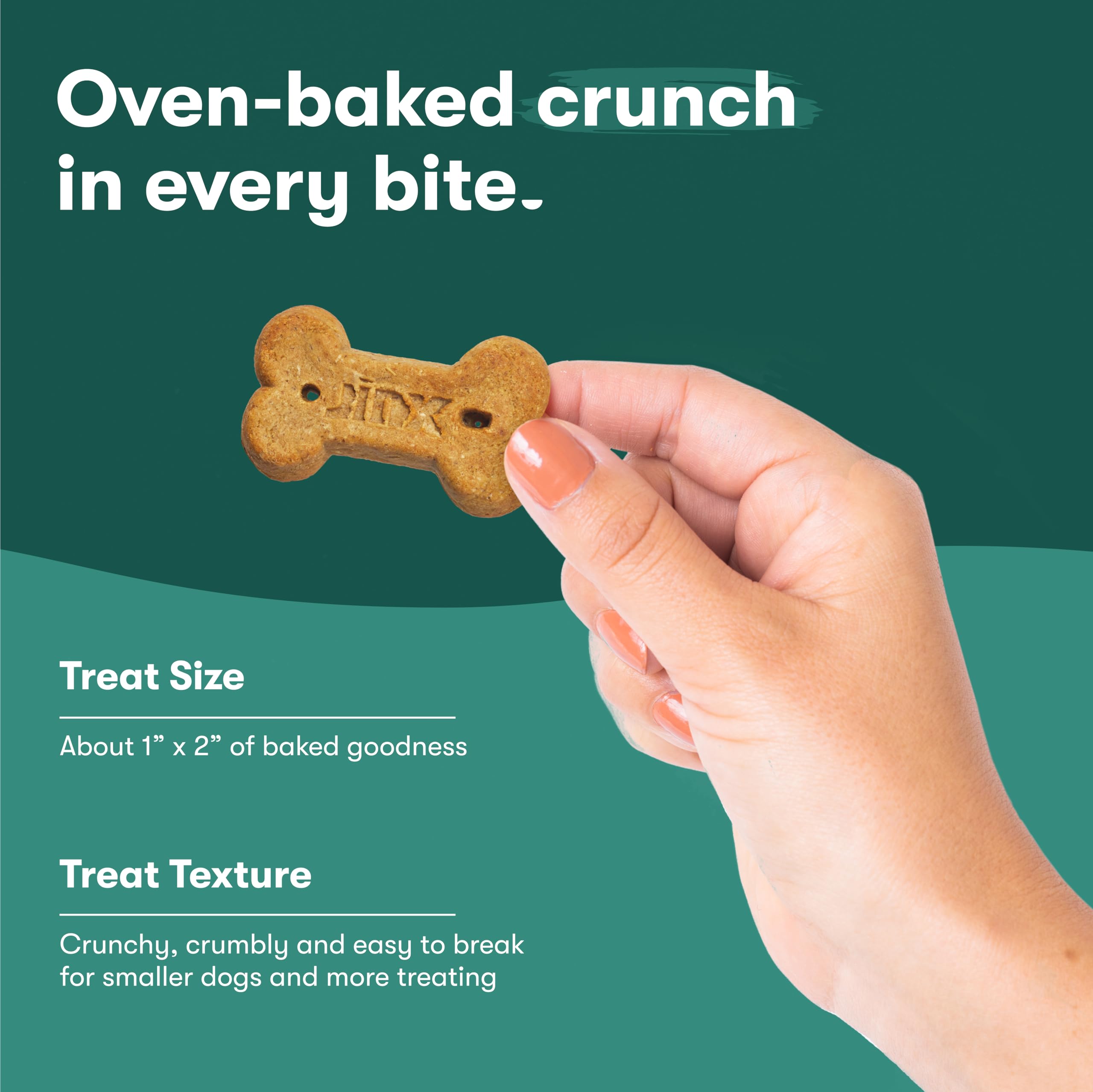 Jinx Oven-Baked Beef Bone Broth Dog Treats - All Natural Crunchy Biscuits with Real Beef, Pumpkin & Blueberries - Superfood-Rich Healthy Snacks for Dogs - 16oz (4 Pack) - Perfect for Training Rewards & Dental Health