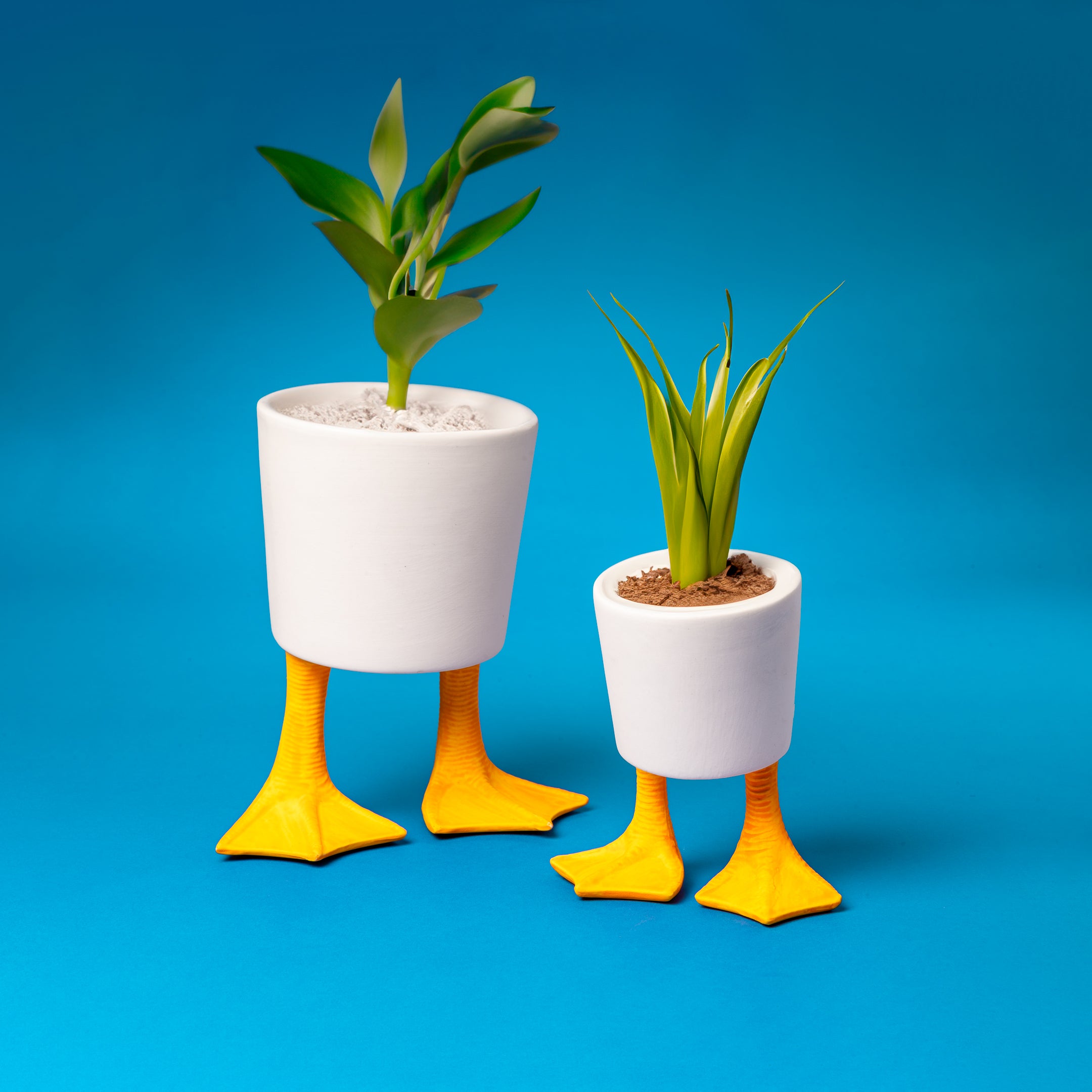 Small Duck Feet Planter - Cute Animal Shaped Flower Pot for Succulents & Small Plants - Perfect for Home Decor, Office Desk & Garden Decorations