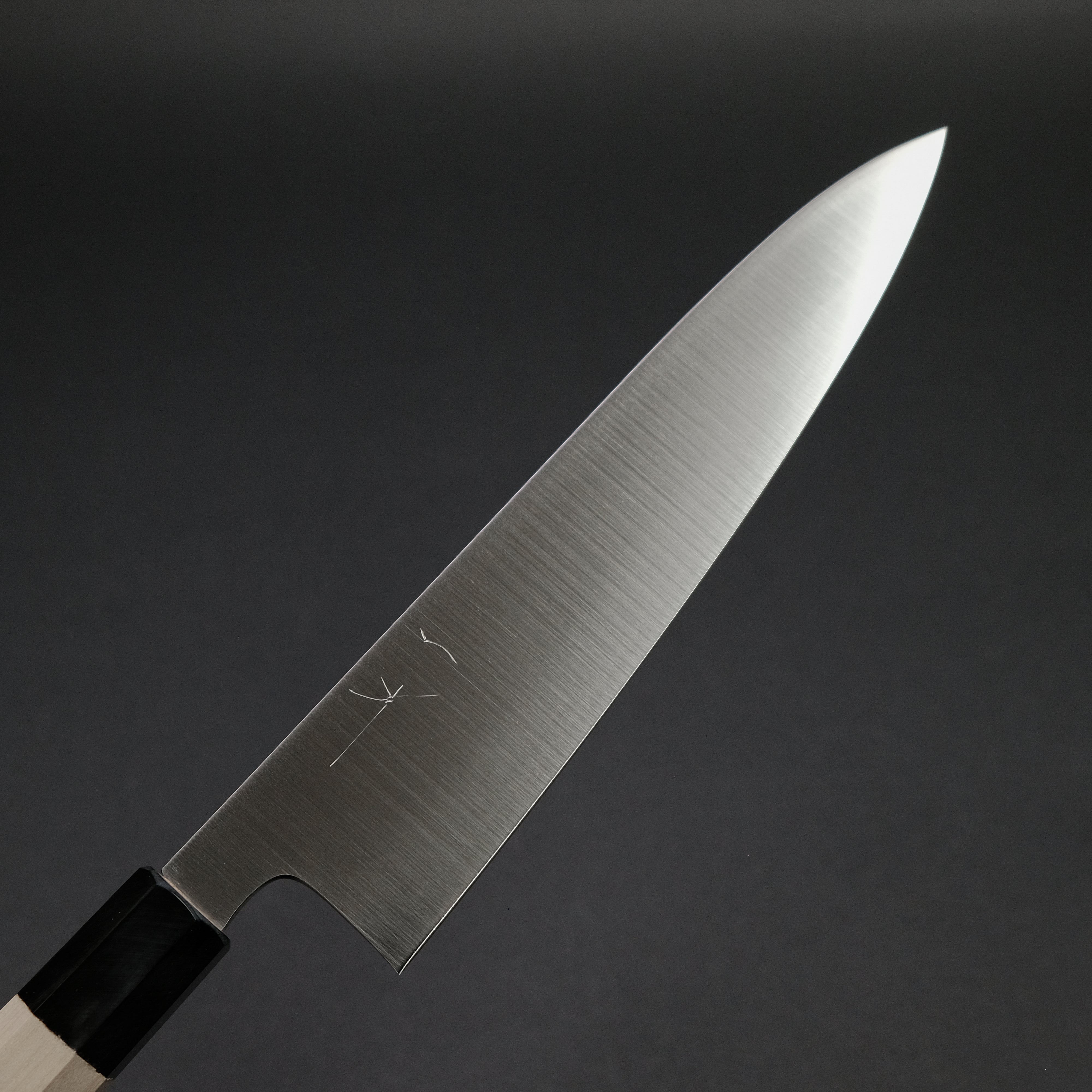 Hitohira SKR 210mm Stainless Steel Gyuto Japanese Chef Knife with Ho Wood Handle - Perfect for Sushi, Meat Slicing & Professional Kitchen Use