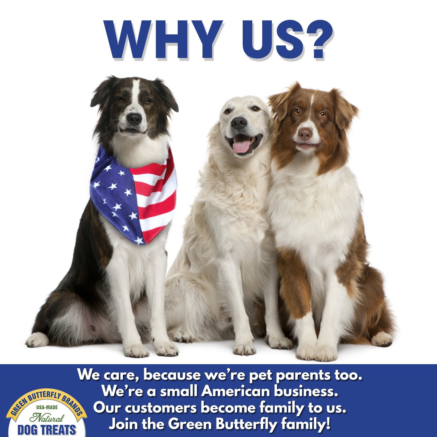 Premium USA-Made All-Natural Turkey Breast Dog Jerky Treats - Grain Free, No Preservatives - Healthy Training Snacks for Dogs & Cats - Perfect for Obedience Training, Travel Rewards, and Daily Bonding Moments