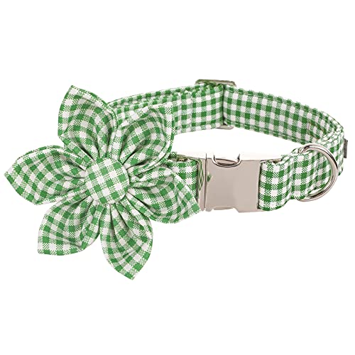 Green&White Grid