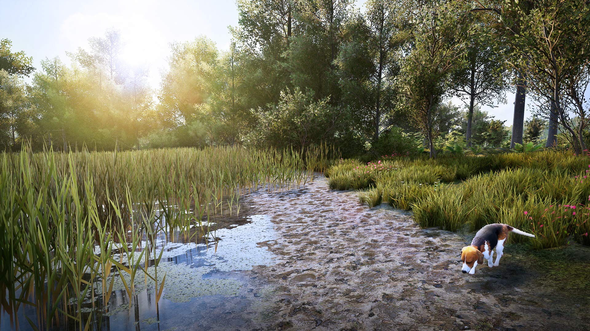 Hunting Simulator 2 for PS5 - Realistic Hunting Game for PlayStation 5 | Experience Thrilling Outdoor Adventures at Home