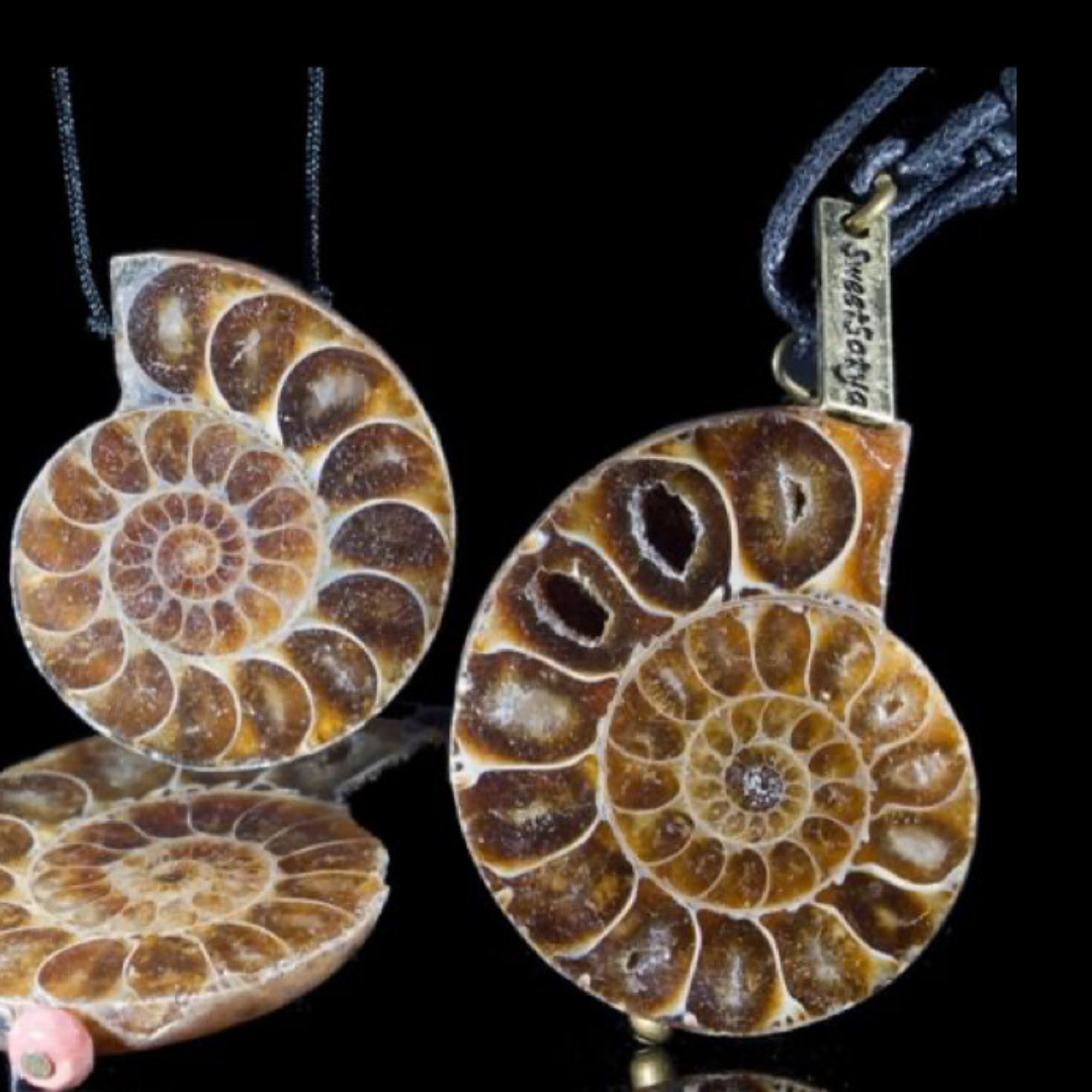 Natural Ammonite Fossil Jewelry - Handmade Sterling Silver Pendant Necklace for Women - Perfect for Boho, Vintage & Nature-Inspired Fashion