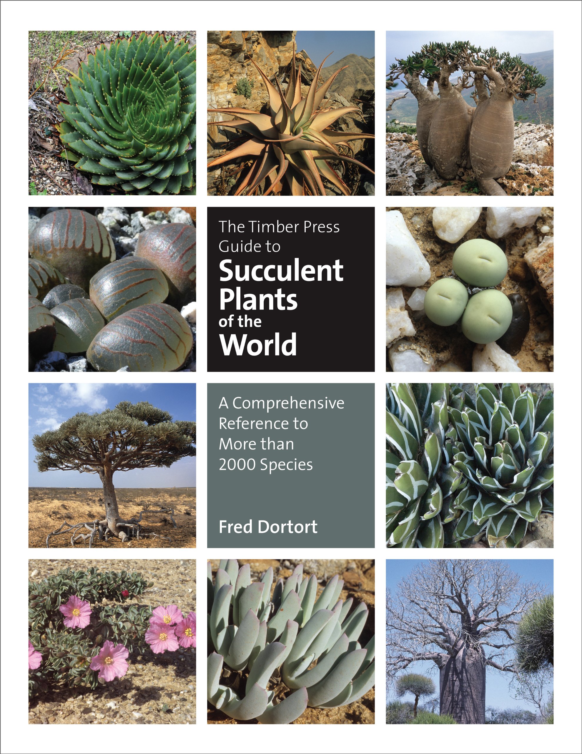 The Timber Press Guide to Succulent Plants of the World: Comprehensive Reference to 2000+ Species - Perfect for Home Decor, Gardening & Plant Lovers