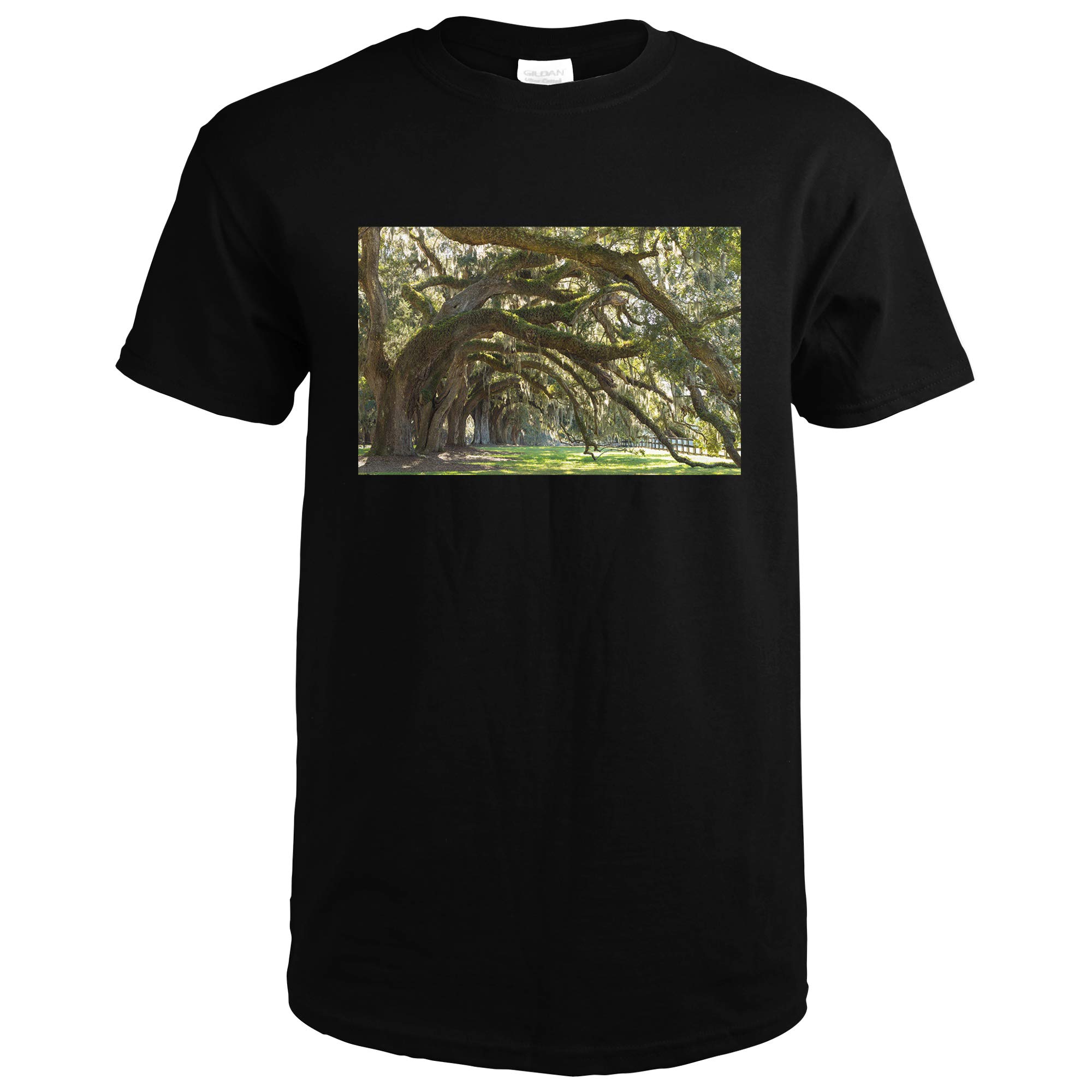 Premium Charleston South Carolina Oaks Avenue Photography A-93037 T-Shirt - Perfect for Travel Lovers & Cityscape Enthusiasts