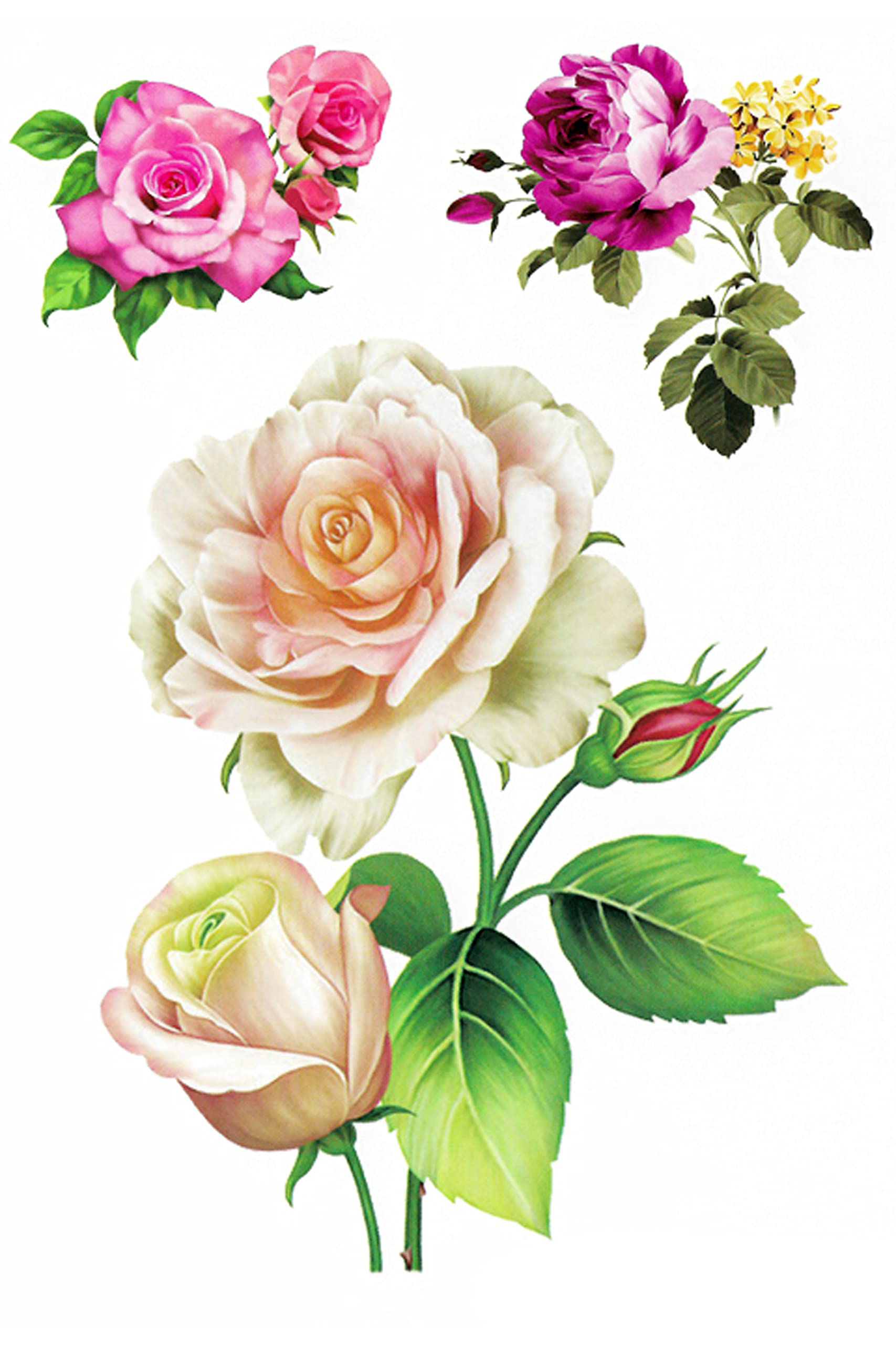3D Temporary Tattoo Stickers for Men & Women - Waterproof Fake Tattoos with Flowers, Butterflies, Stars & Angel Designs - Realistic Body Art for Parties, Halloween & Cosplay (21x15cm, Dark Desire Collection)