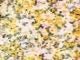 Butter Lilac Ditsy Floral