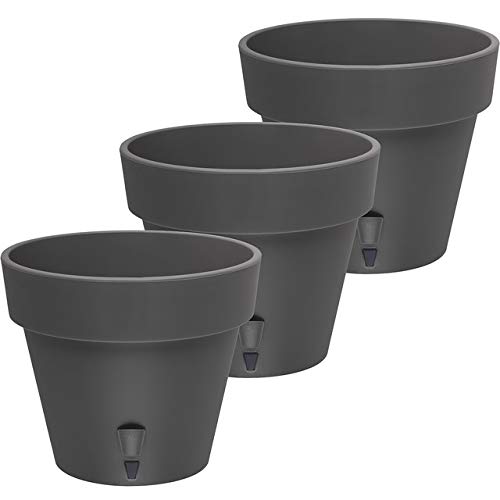 Graphite - Set of 3