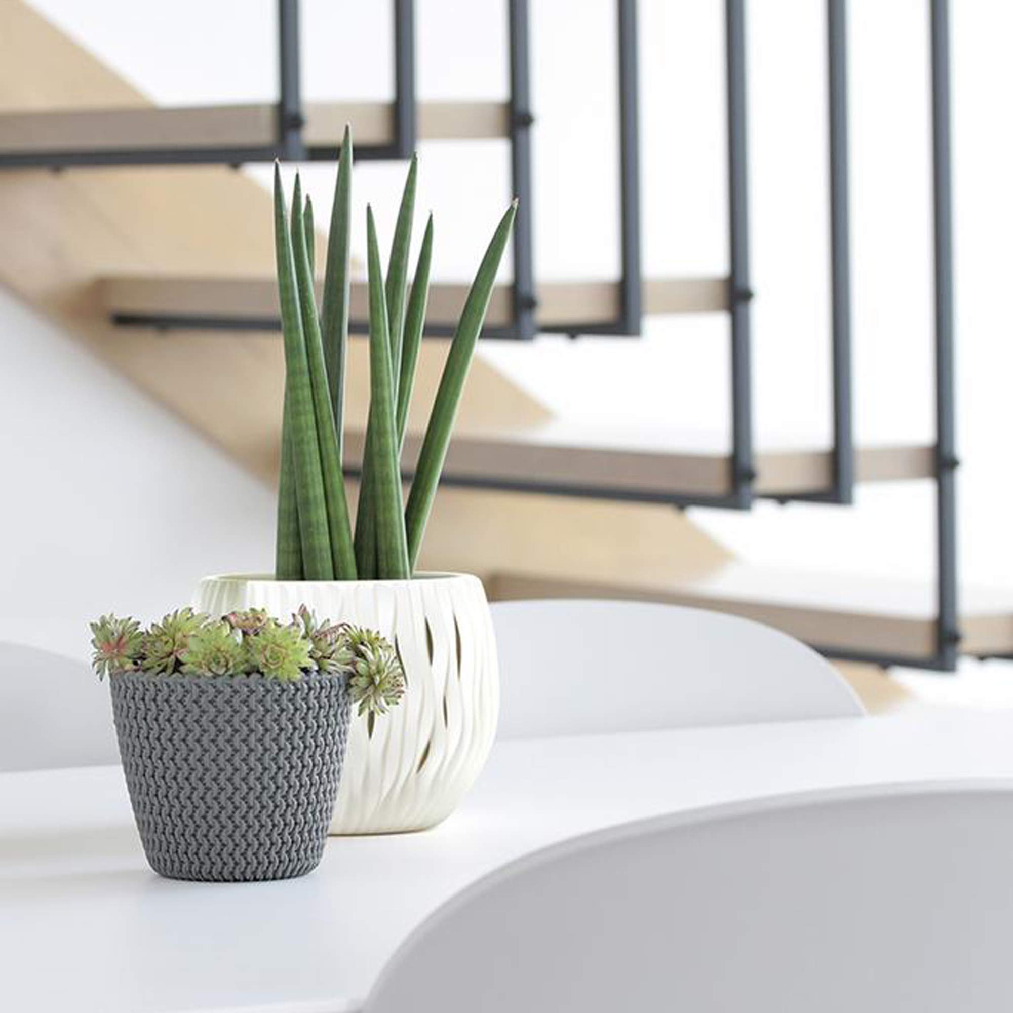 White 18.6L Round Plastic Flower Pot - 34.1 x 28.9 cm (13.4 x 11.4 inches) - Durable Prosper SPLOFY Planter for Indoor/Outdoor Plants, Gardening & Home Decor