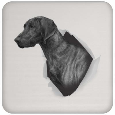 A Christmas Tale of Joy and Laughter with Our Funny Plott Hound Coaster Set