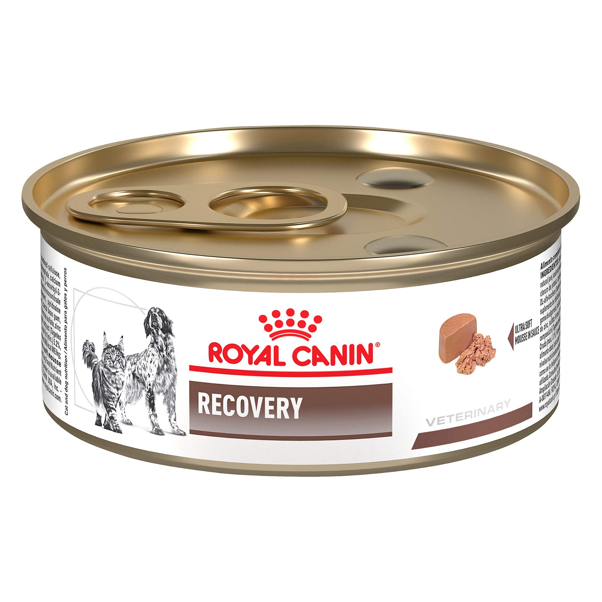 Royal Canin Veterinary Diet Feline & Canine Recovery RS Gel Canned Food for Cats & Dogs - 5.8 oz | High-Calorie Nutritional Support for Post-Surgery & Illness Recovery | Perfect for Weak or Convalescing Pets