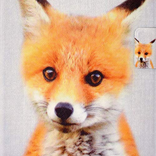 05# Yellow Fox