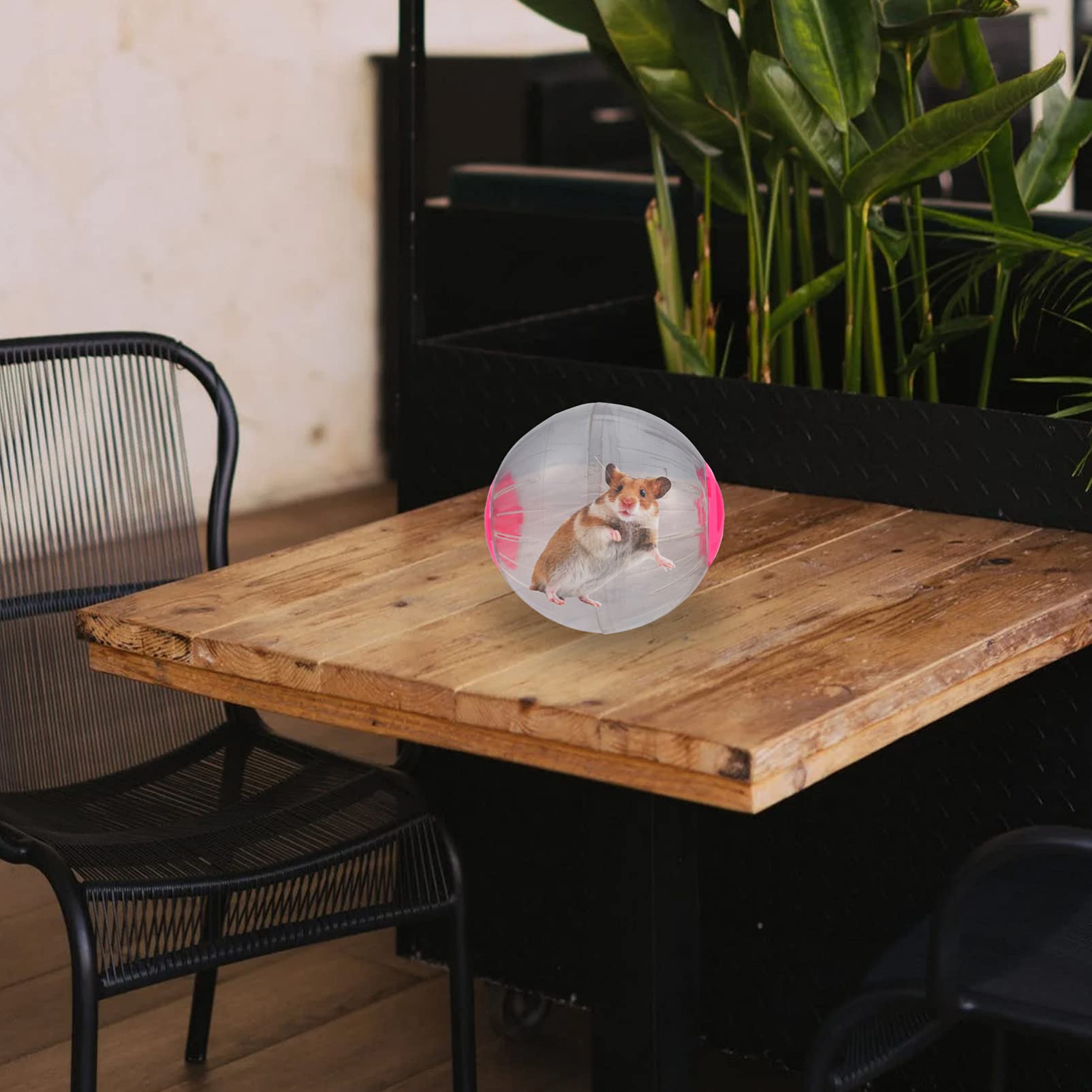 Hamster Exercise Ball - Durable Hamster Running Wheel Toy for Small Pets Like Chinchillas & Gerbils - Fun Activity Ball for Hamster Exercise & Play - Perfect for Indoor Pet Playtime & Cage Enrichment