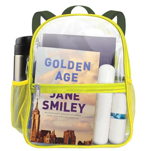 Pittsburgh Stadium Bag