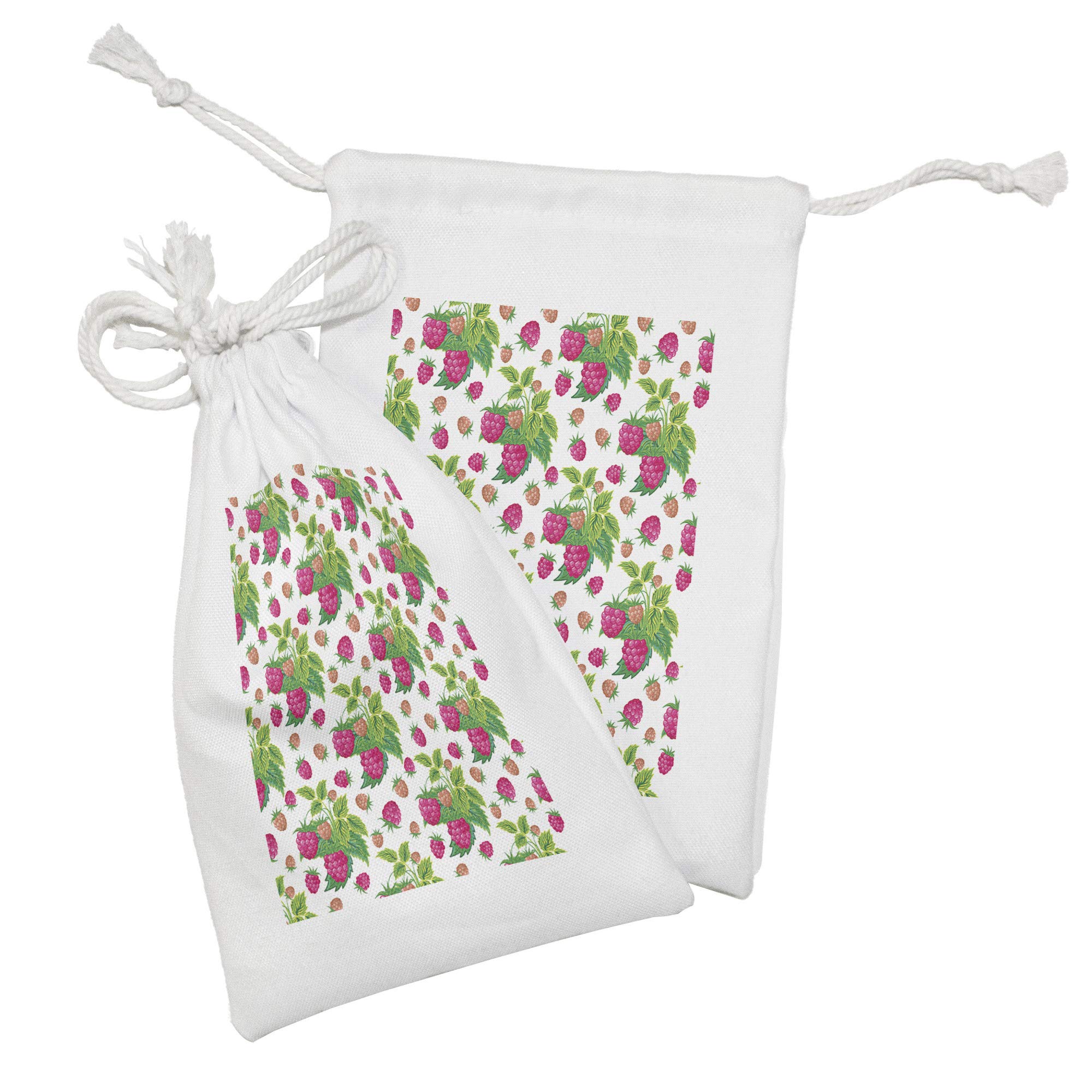 Ambesonne 2-Pack Fruit Fabric Drawstring Pouches - Spring Botanical Raspberry & Green Leaves Design - 9