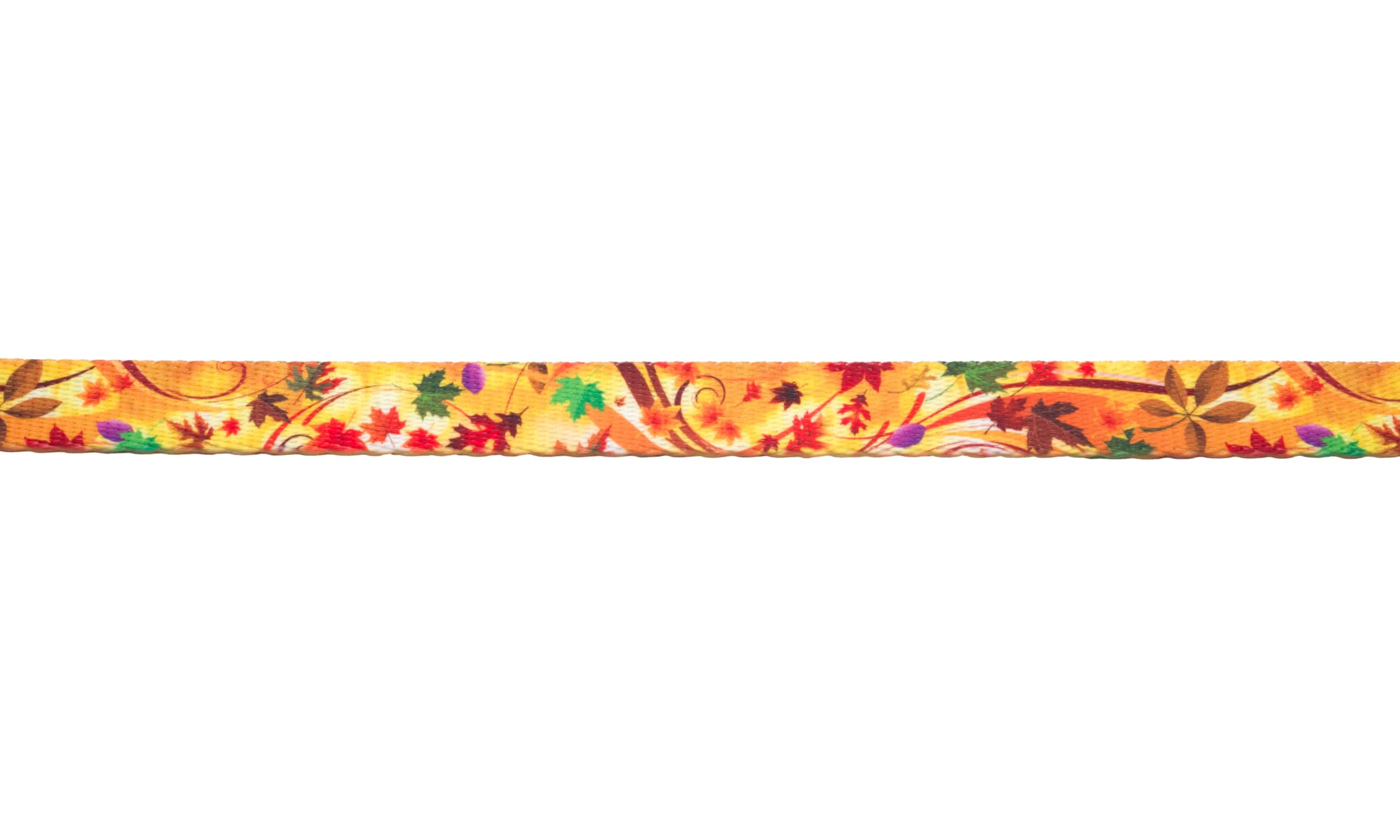 Country Brook Design - Autumn Wind Polyester Webbing Dog Collar & Leash Set - Durable, Adjustable Pet Accessories for Small to Medium Dogs - Perfect for Daily Walks, Training & Outdoor Adventures
