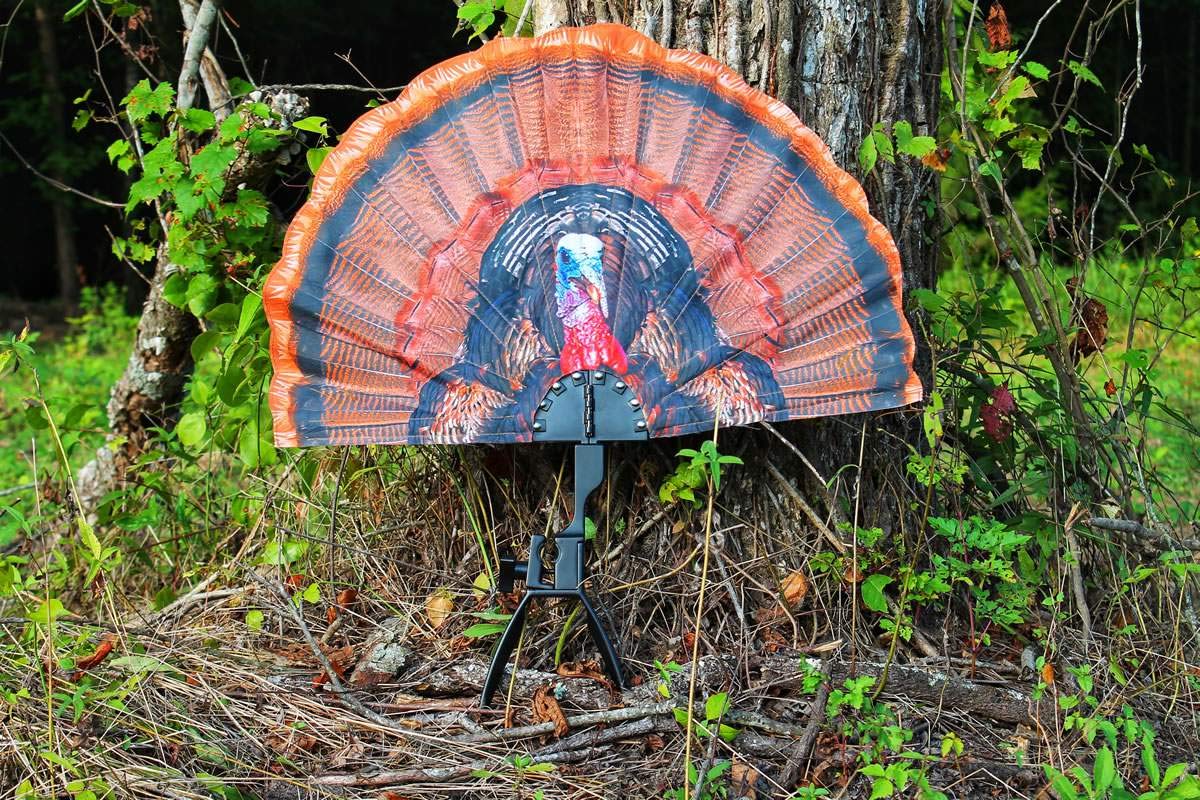 MOJO Scoot-N-Shoot MAX Tom Turkey Hunting Decoy with Realistic Fan - Best Turkey Decoy for Spring Hunting & Field Tactics