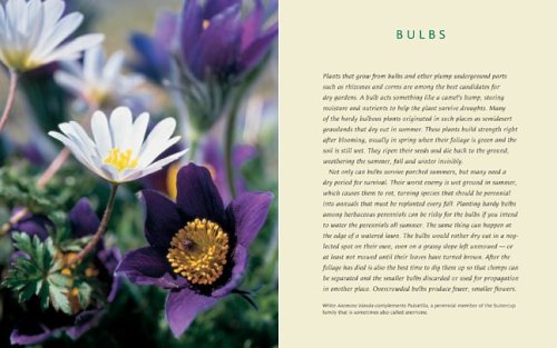 Dryland Gardening: Drought-Tolerant Plants for Tough Conditions - Perfect for Xeriscaping & Low-Water Landscapes