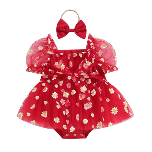 Daisy Red