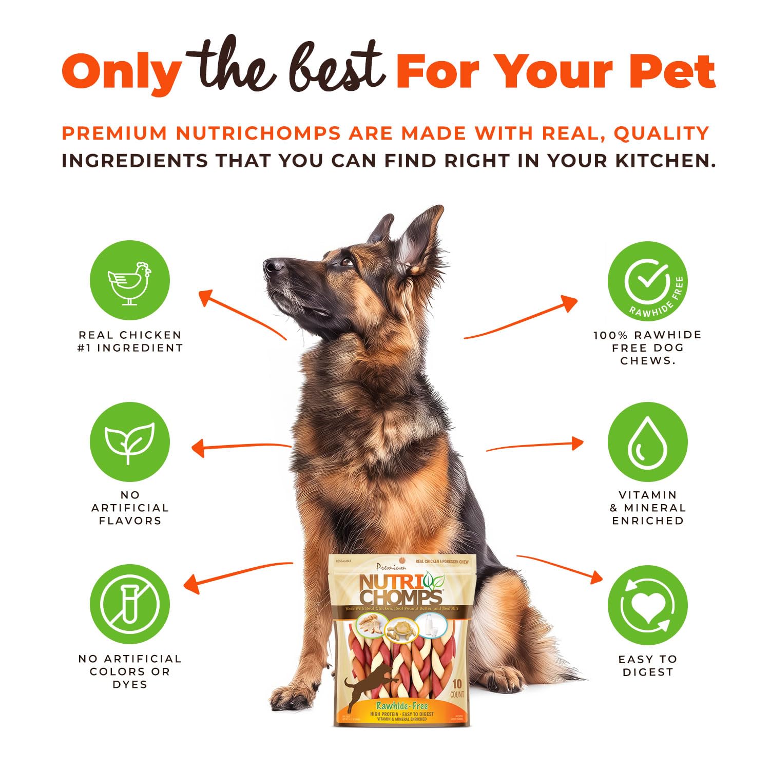 NutriChomps Healthy Dog Chews - 6-inch Braided Rawhide-Free Treats with Real Chicken, Peanut Butter & Milk Flavors (10 Count) | Easy to Digest Dental Chews for Medium & Large Dogs | Perfect for Training, Teething & Oral Care