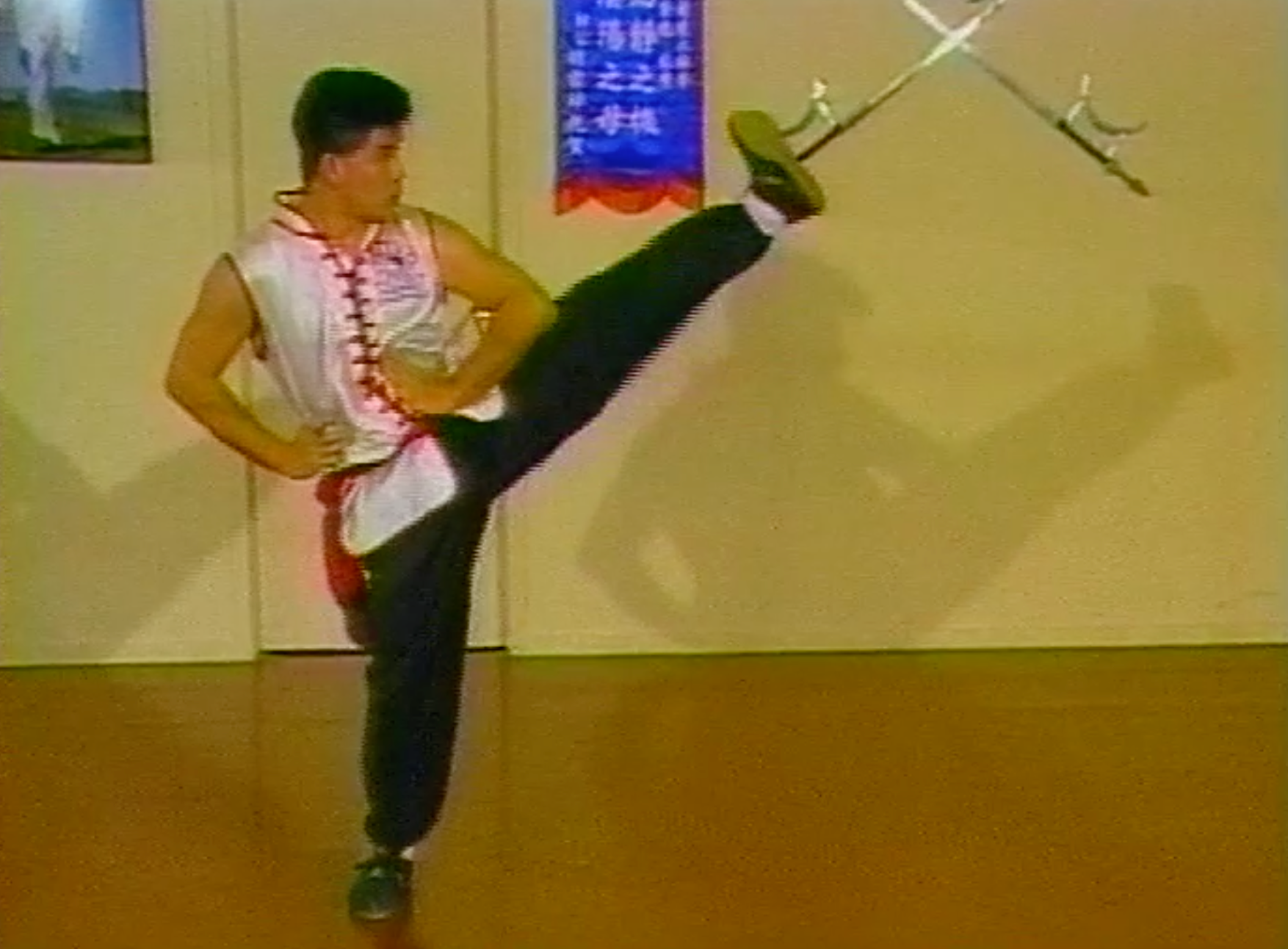 Choy Li Fut Kung Fu 8 DVD Set with Doc Fai Wong - Authentic Chinese Martial Arts Training Videos | Learn Self-Defense Techniques at Home