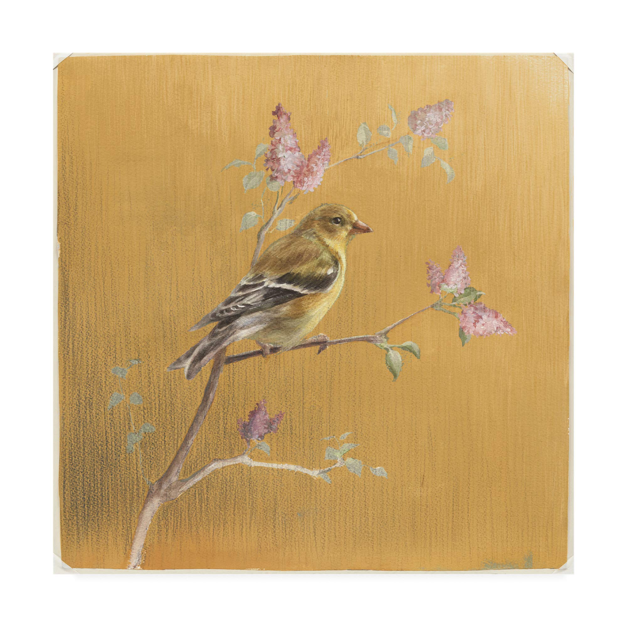 Danhui NAI Goldfinch on Gold 18x18 Fine Art Print - Elegant Home & Office Wall Decor, Perfect for Living Room, Bedroom, or Gift