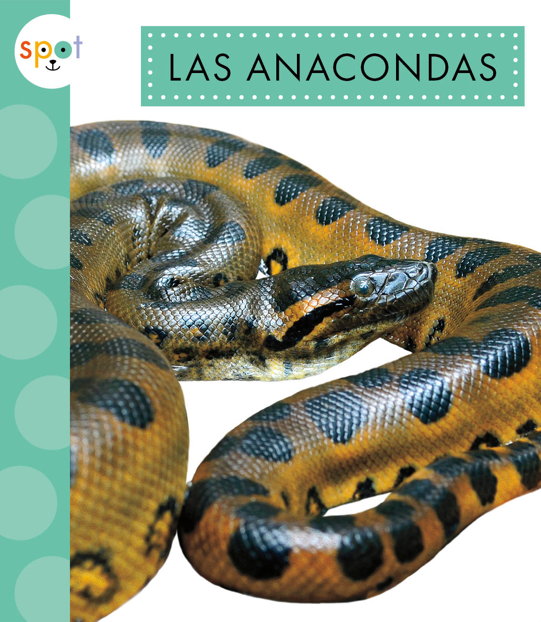 Anaconda Snake Toy - Realistic Rubber Anaconda for Kids & Collectors - Perfect for Jungle Play, Educational Learning & Reptile Enthusiasts