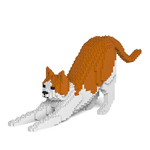 Orange and White