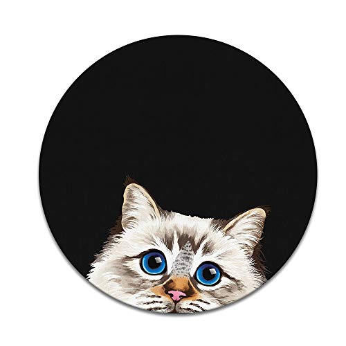 Seal Lilac Tabby Point Birman Cat