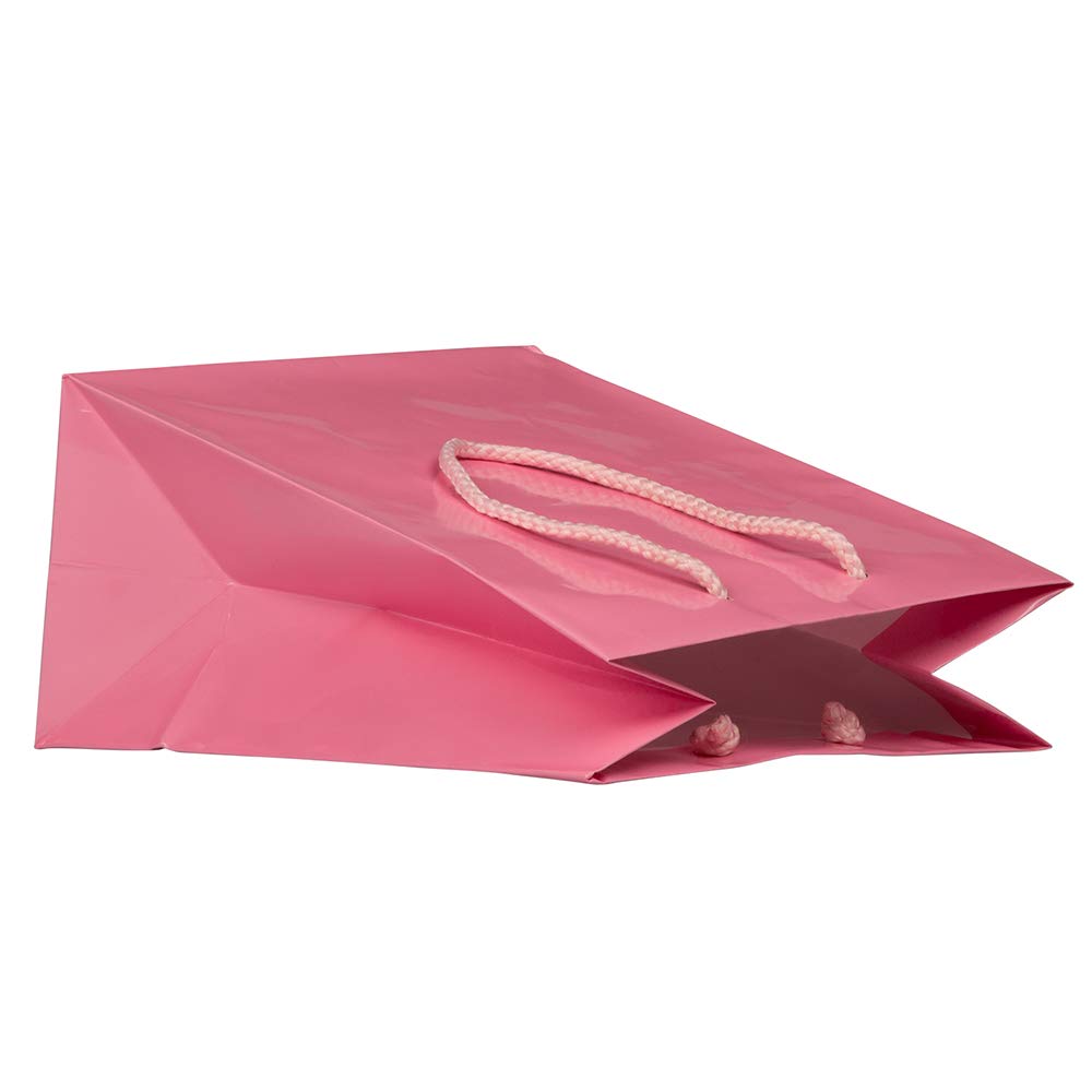 JAM Paper Glossy Gift Bags with Rope Handles - Medium Size 8