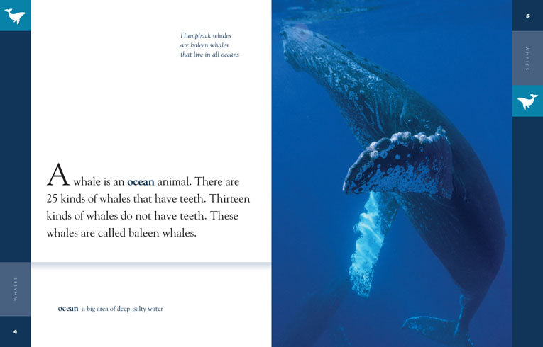 Amazing Animals (2014): Whales - Educational Documentary About Marine Life | Perfect for Nature Lovers, Classroom Learning & Family Movie Nights