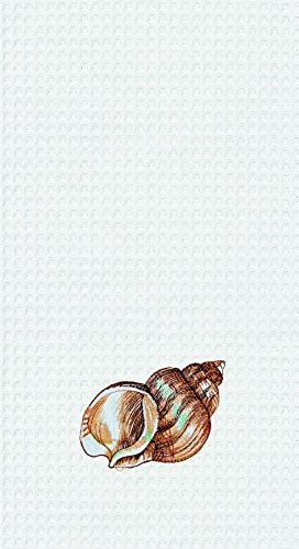 Striped Shells