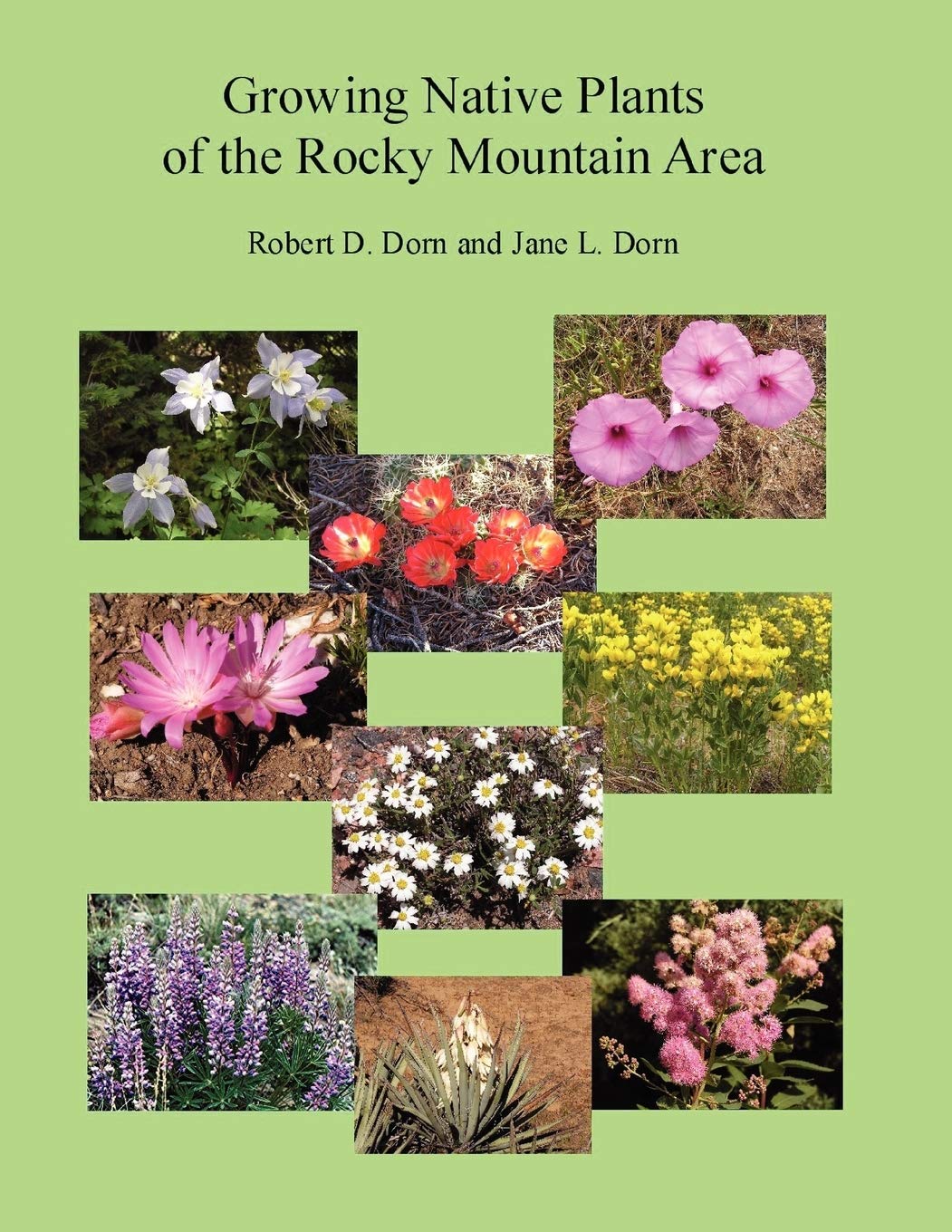 Native Plants of the Rocky Mountain Area - Best Perennials for High Altitude Gardening | Perfect for Xeriscaping & Wildlife Gardens