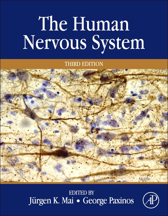 The Human Nervous System - Anatomy, Functions & Disorders | Study Guide for Students & Medical Professionals | Perfect for Learning & Research