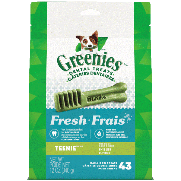 Greenies Fresh Teenie Adult Dog Dental Treats for Small Dogs - 12oz Pack - Freshens Breath & Cleans Teeth - Perfect for Daily Oral Care & Training Rewards