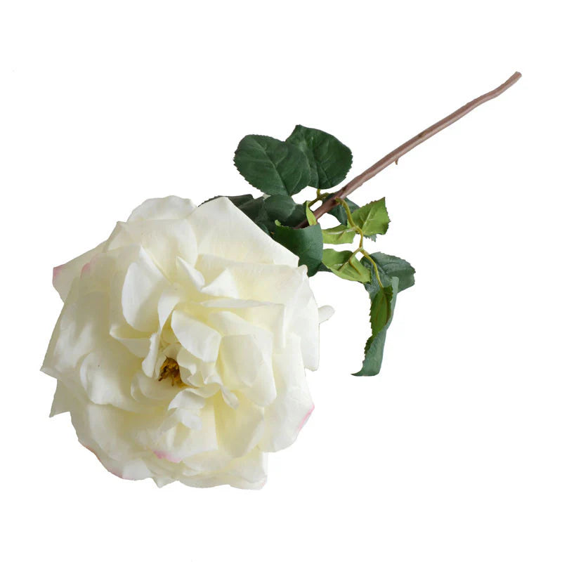 Fresh White Rose Stems - Long-Lasting Cut Flowers for Bouquets, Weddings & Home Decor | Perfect for DIY Floral Arrangements & Romantic Gifts